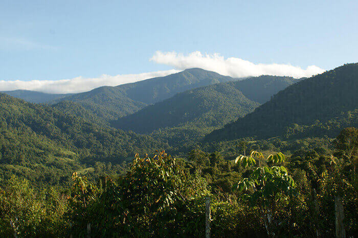 Idyllic Income Producing Costa Rican Getaway